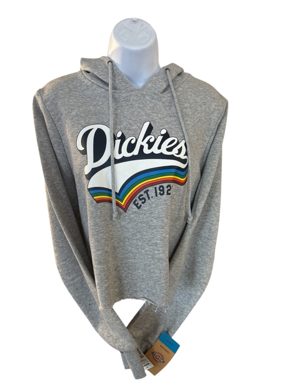 Dickies Grey Pullover Crop Top Hoodie with Rainbow Stripe Logo